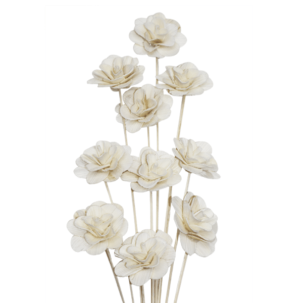 Deco Flowers & Fruits