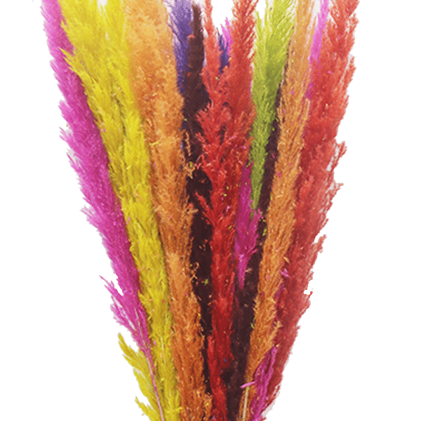Fillers & Grasses