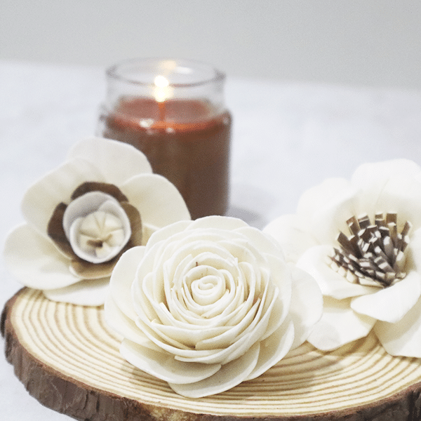Sola Flowers